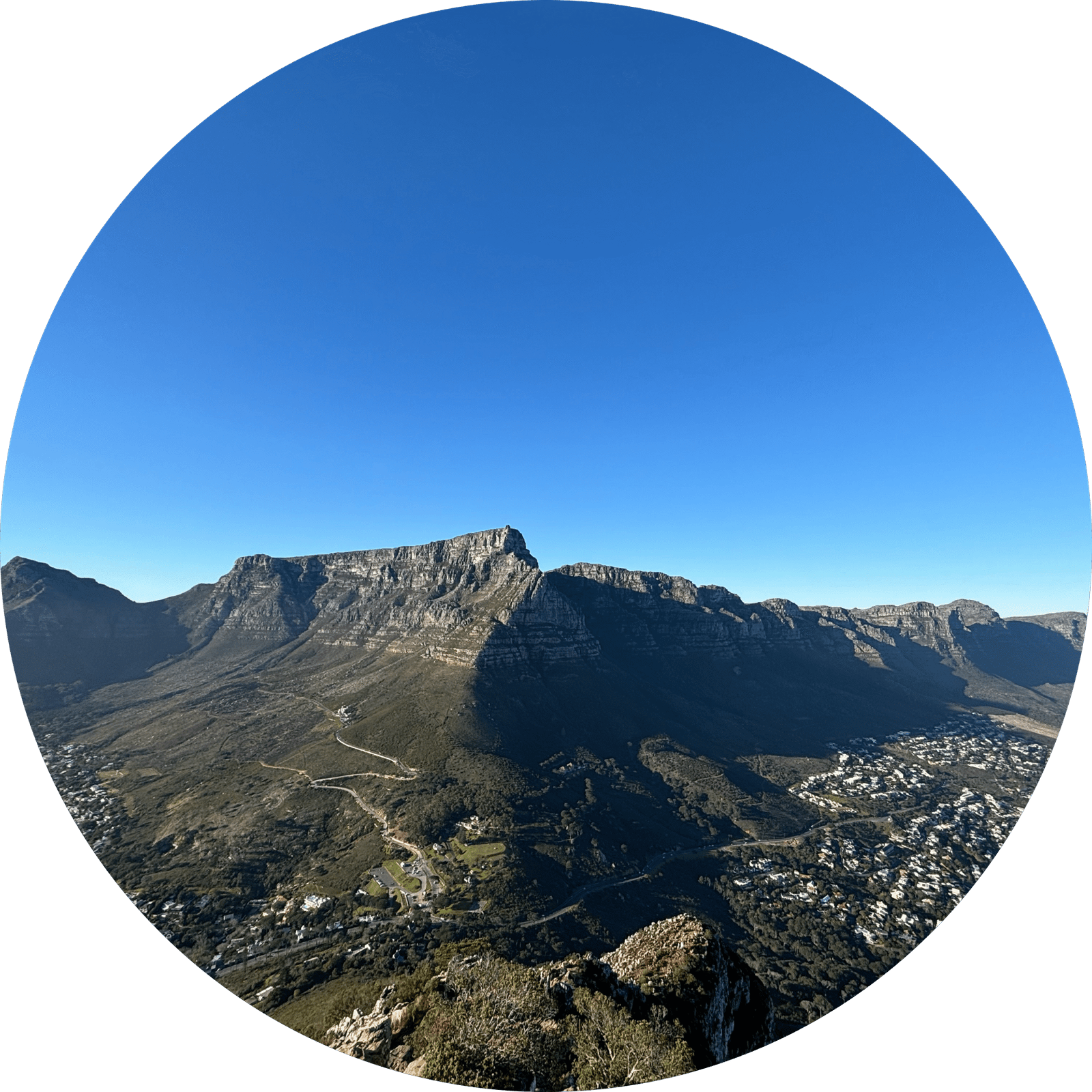 cropped circle image copy 2