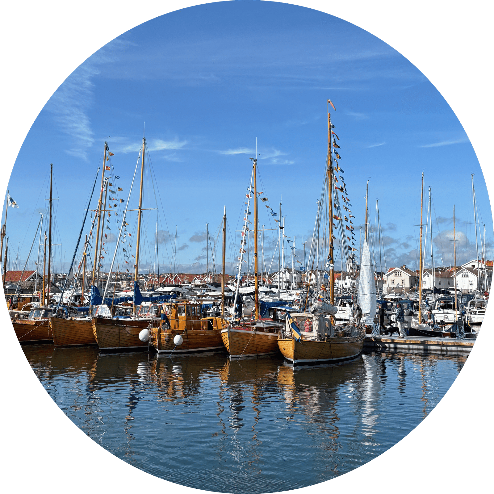 cropped circle image copy 3