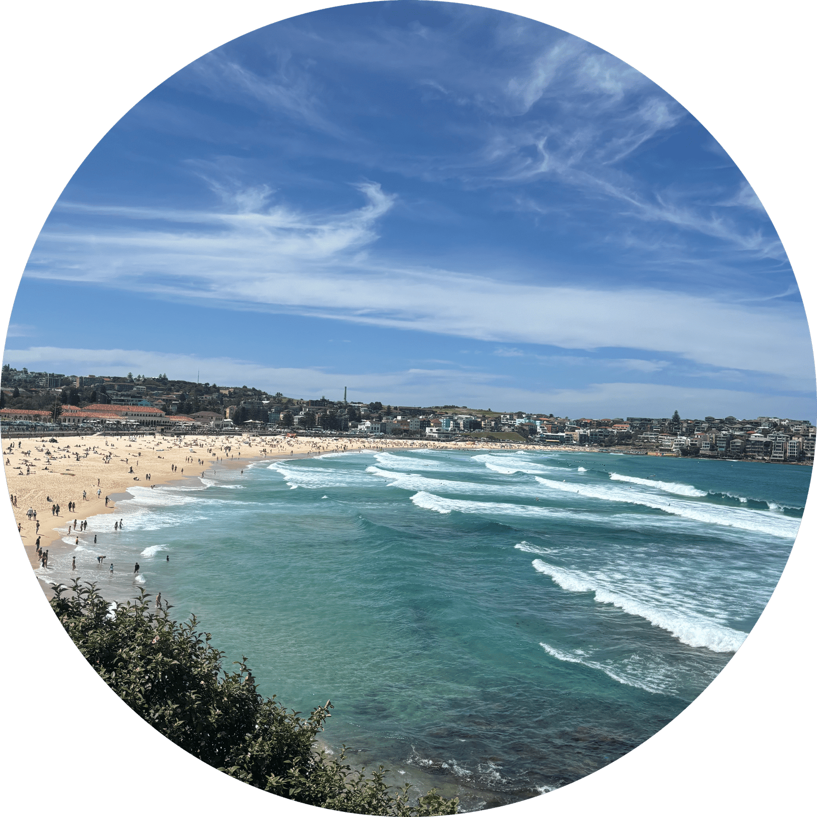 cropped circle image copy 4