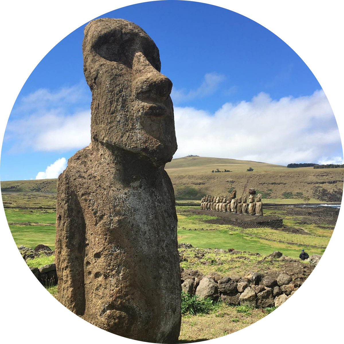 cropped circle image copy 5